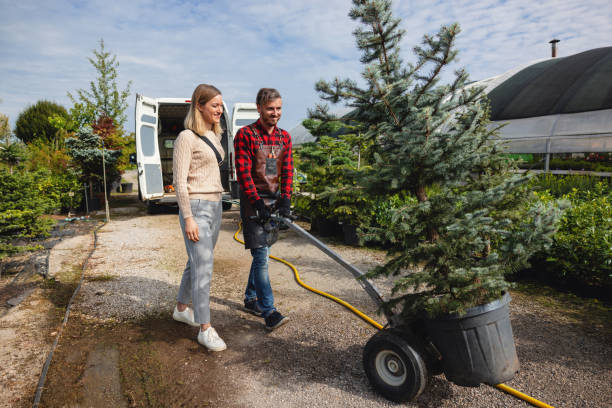 Best Tree Trimming and Pruning  in Desoto, TX